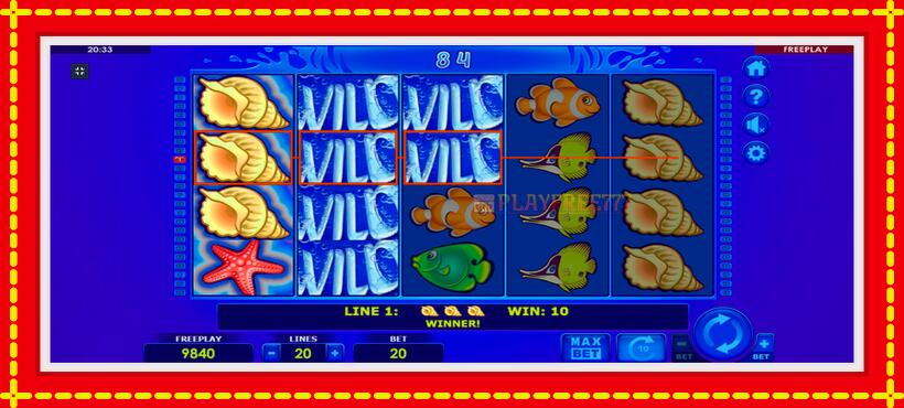 Slot machine Wild Shark with access to free game online, picture 5