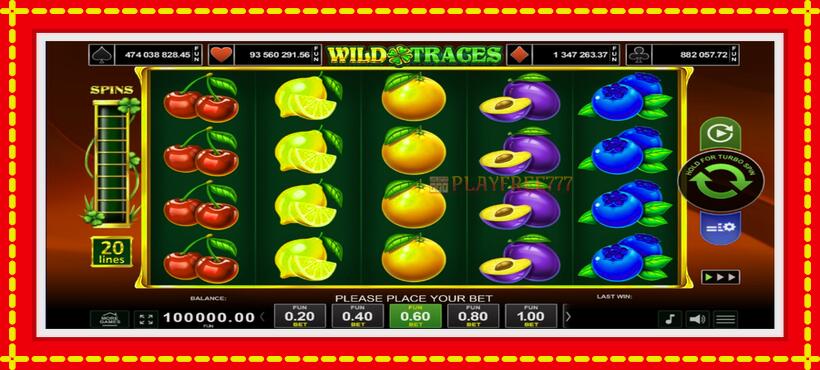 Slot machine Wild Traces with access to free game online, picture 1