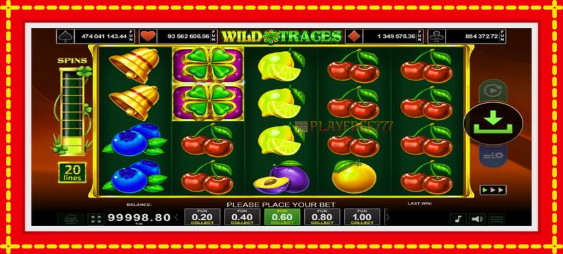 Slot machine Wild Traces with access to free game online, picture 2