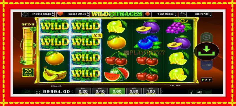 Slot machine Wild Traces with access to free game online, picture 3