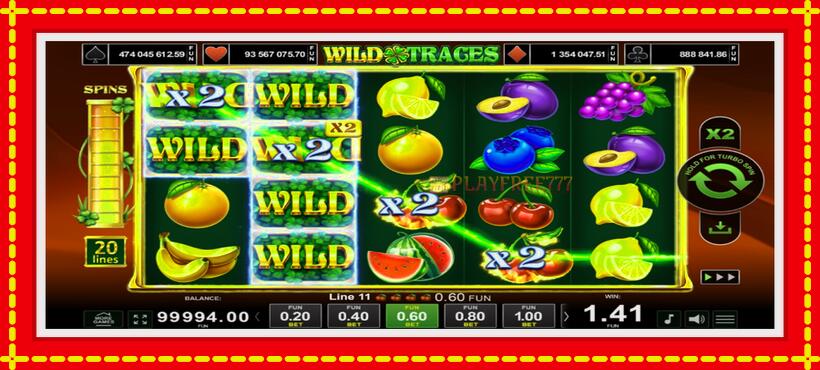 Slot machine Wild Traces with access to free game online, picture 4