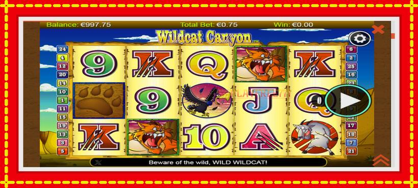 Slot machine Wildcat Canyon with access to free game online, picture 1