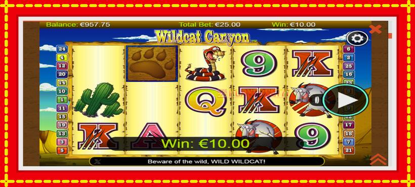 Slot machine Wildcat Canyon with access to free game online, picture 2