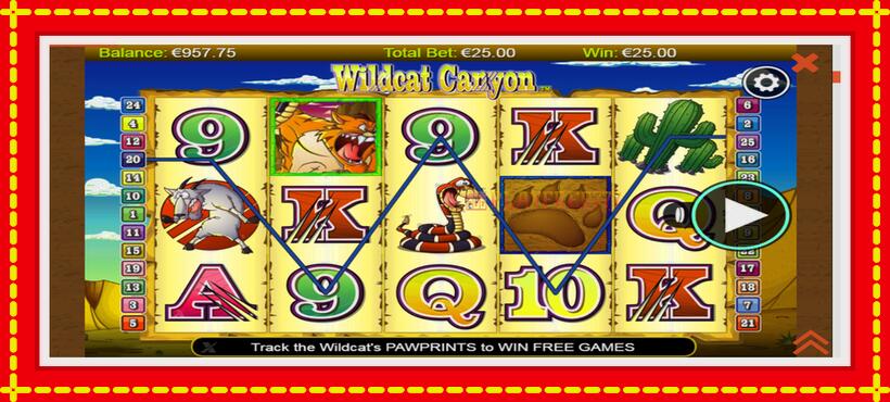 Slot machine Wildcat Canyon with access to free game online, picture 3