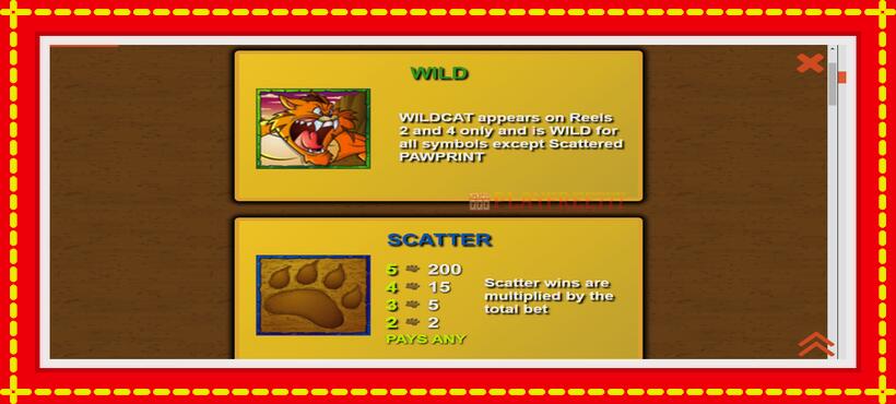 Slot machine Wildcat Canyon with access to free game online, picture 5