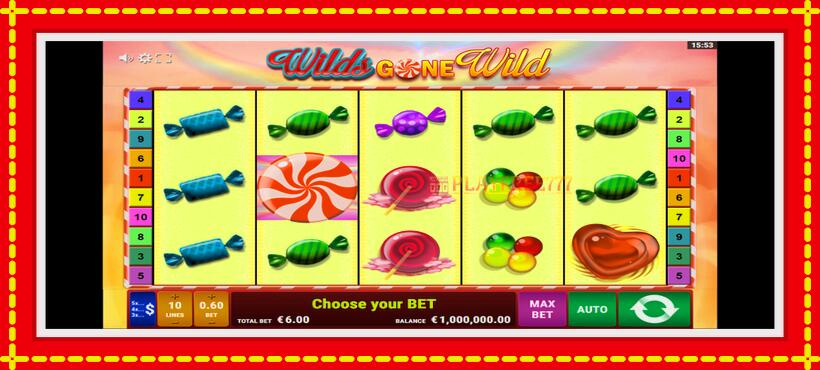 Slot machine Wilds Gone Wild with access to free game online, picture 2