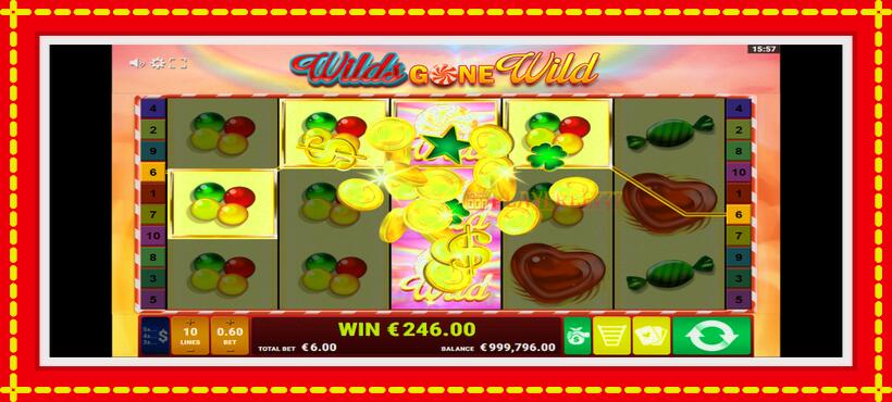 Slot machine Wilds Gone Wild with access to free game online, picture 5