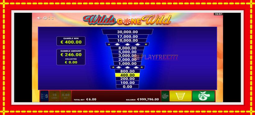 Slot machine Wilds Gone Wild with access to free game online, picture 6