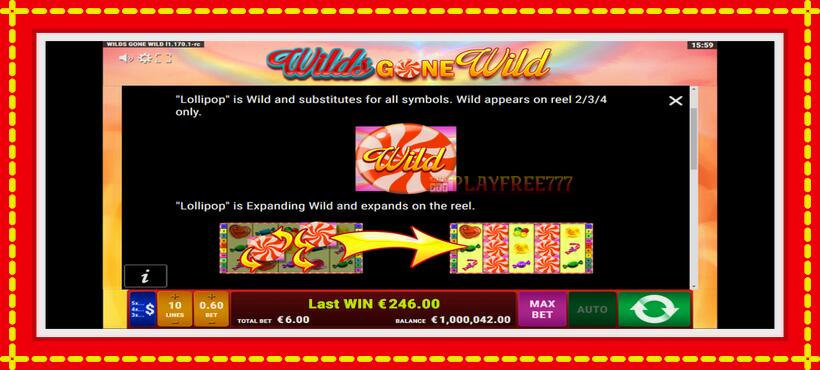 Slot machine Wilds Gone Wild with access to free game online, picture 7