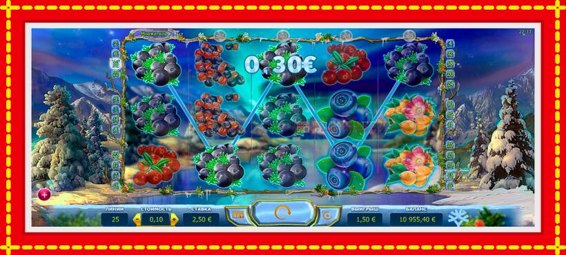 Slot machine Winterberries with access to free game online, picture 4