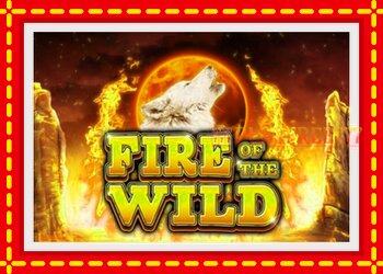 Slot machine Fire of the Wild with free online game