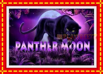 Slot machine Panther Moon with free online game