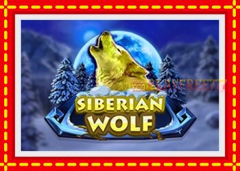 Slot machine Siberian Wolf with free online game