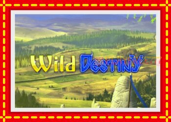 Slot machine Wild Destiny with free online game