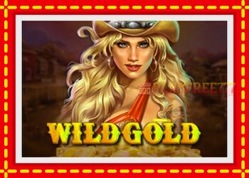 Slot machine Wild Gold 100000 with free online game