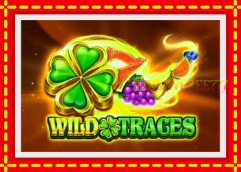 Slot machine Wild Traces with free online game